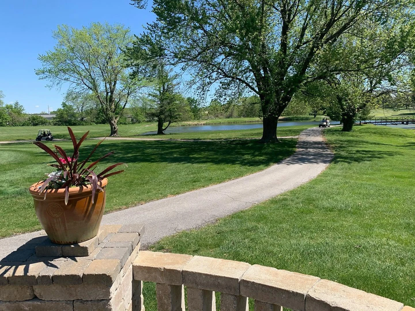 cute dog hanging out on a Shamrock Hills fairway
