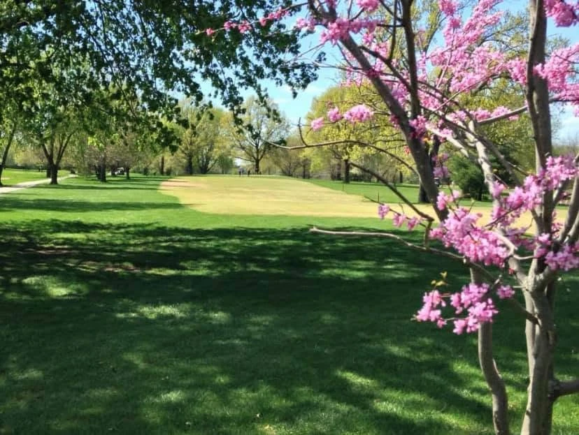 Shamrock Hills Golf Club — photo 12